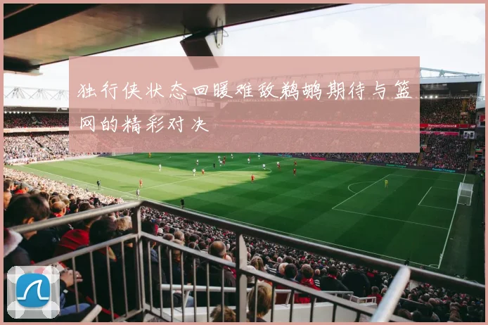独行侠状态回暖难敌鹈鹕期待与篮网的精彩对决