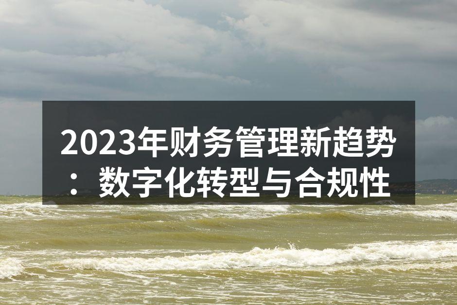 2023年财务管理新趋势：数字化转型与合