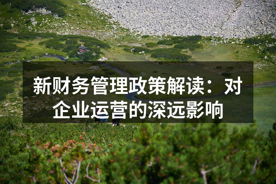 新财务管理政策解读：对企业运营的深远影响