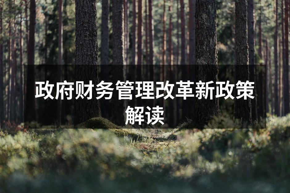 政府财务管理新政策解读