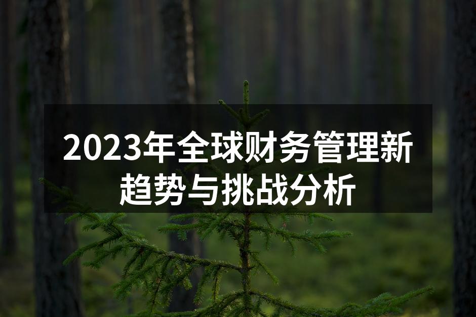 2023年全球财务管理新趋势与挑战分析