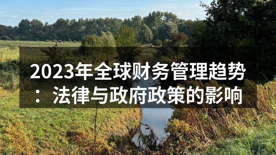 全球财务管理的趋势分析