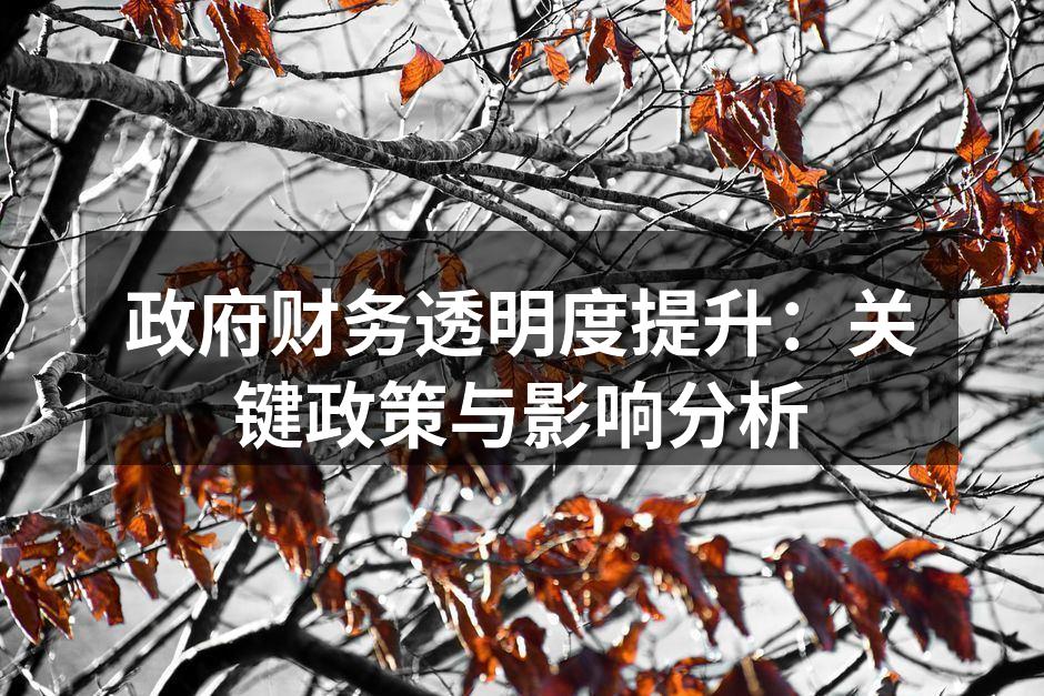 政府财务透明度提升：关键政策与影响分析